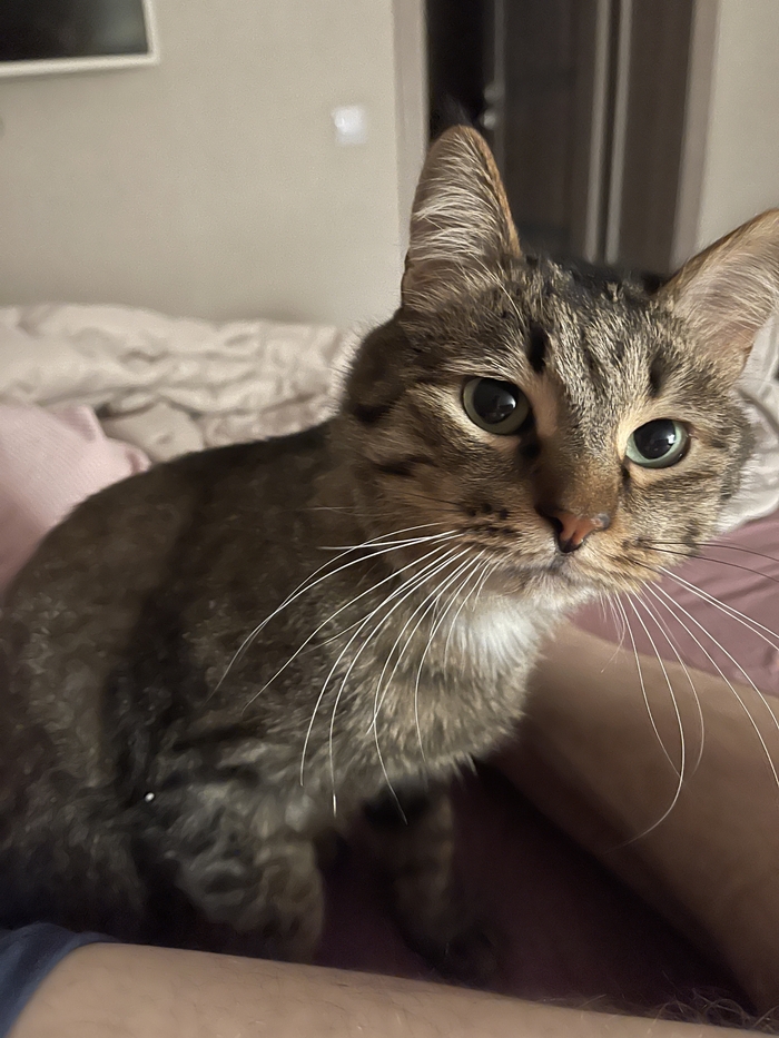 ������� ����� ������! 9 �������