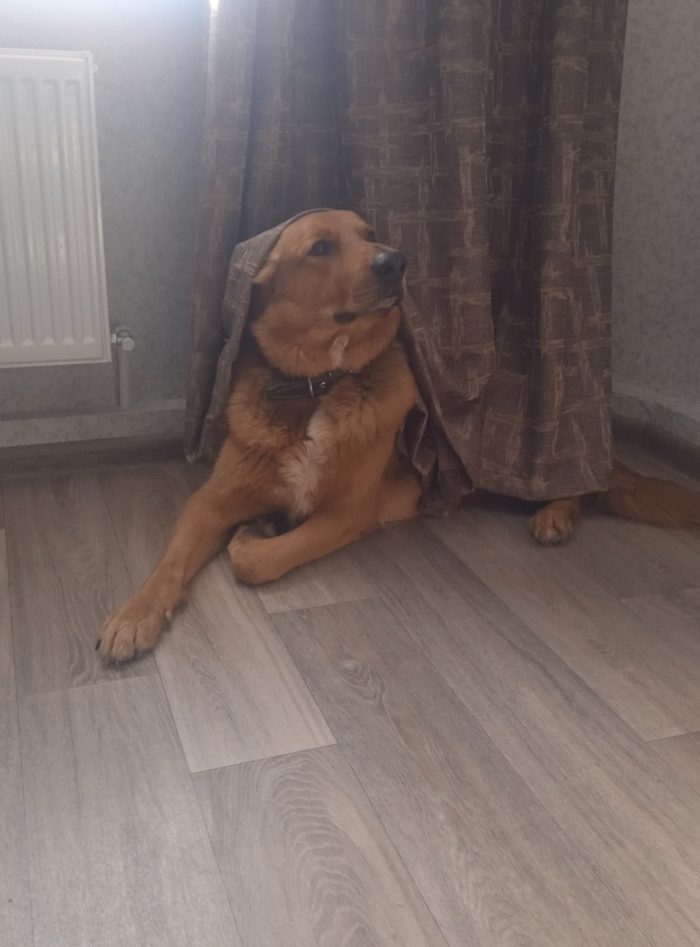 ��������� ���������