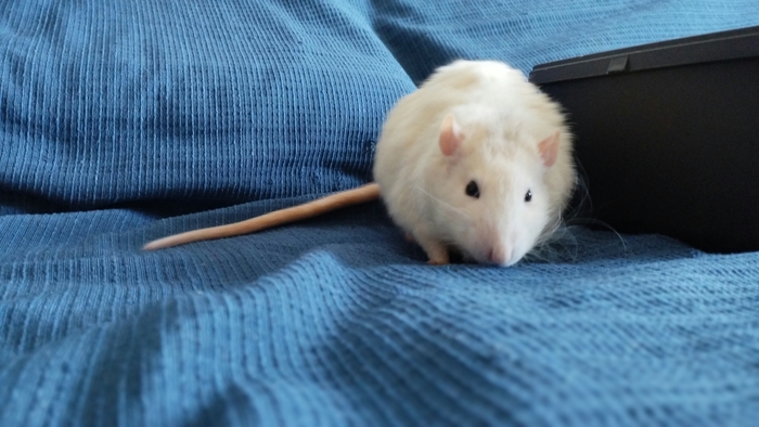 18.06.20 -06.10.22 прощай