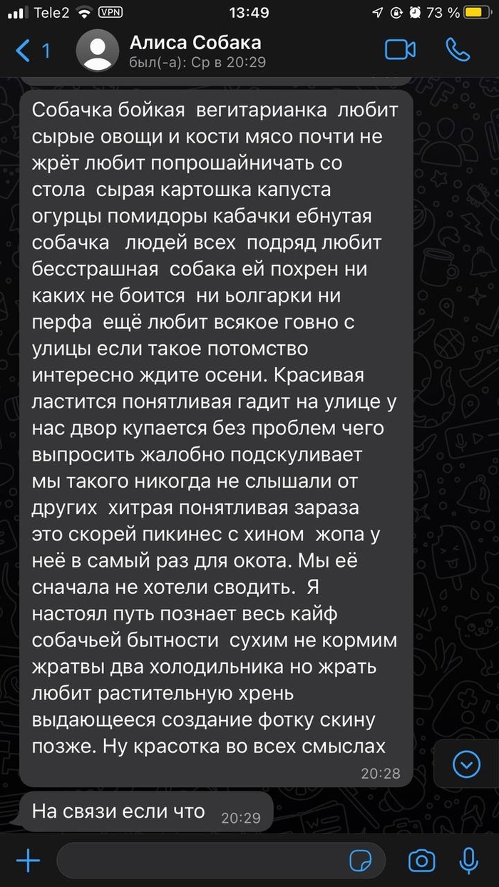 ������ ������. ���� ����