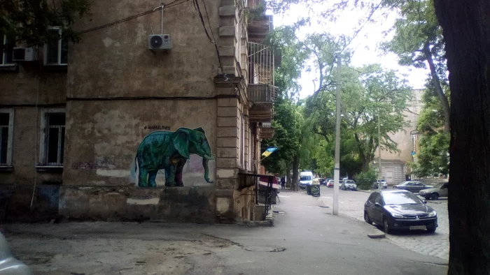 Another street art - beauty, Street art, Elephants, My, Odessa
