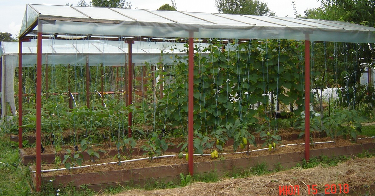 Навес над грядками для выращивания овощей | Пикабу