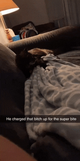      , , , 