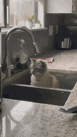      , , , 