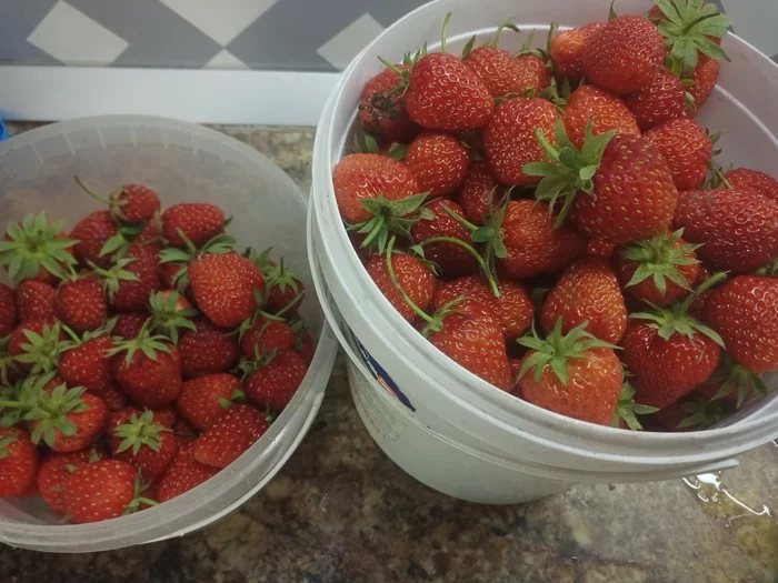 strawberry mojito - My, Strawberry (plant), Mojito, Mint, Compote, Stocks for the winter, Longpost