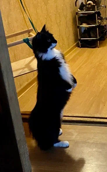 А что вы тут делаете?