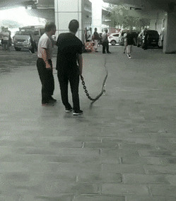   , , , 