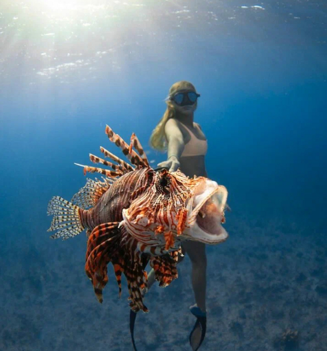 The most aesthetic underwater photos you've ever seen! - The photo, Underwater, Sea, Ocean, Diving, Girls, Sports girls, Longpost