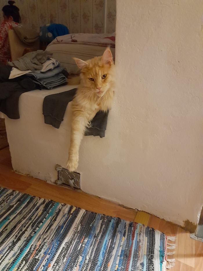   , -, , ,  