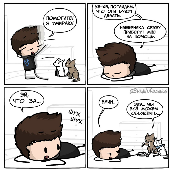 А что бы сделали ваши?