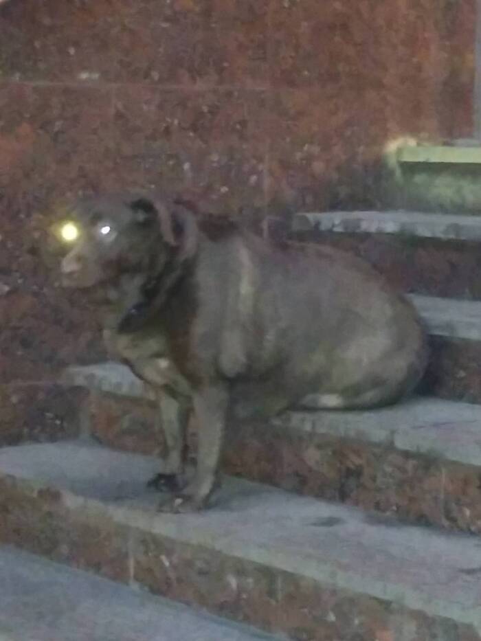 А я увидел нечто