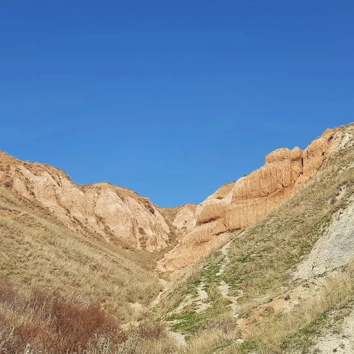 Alexander graben - My, beauty of nature, Volgograd region, Longpost