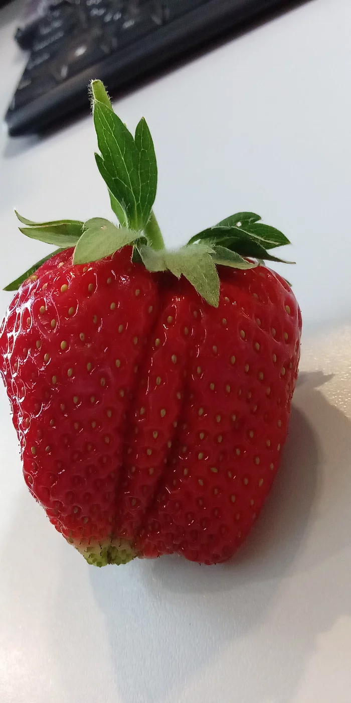 strawberry mood - My, Gulkevichi, Strawberry (plant), Longpost