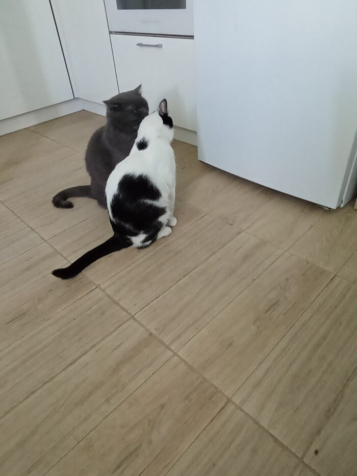      ? , , ,  , 
