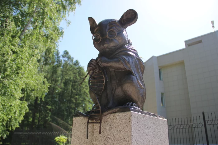 Monuments of the Novosibirsk Akademgorodok - My, The photo, Nature, Siberia, Monument, Mouse, Novosibirsk, Akademgorodok, Fox, Bronze, Marble, Granite, Bust, Animals, Modern Art, Sculpture, Art, Russia, Street photography, Summer, The science, Longpost