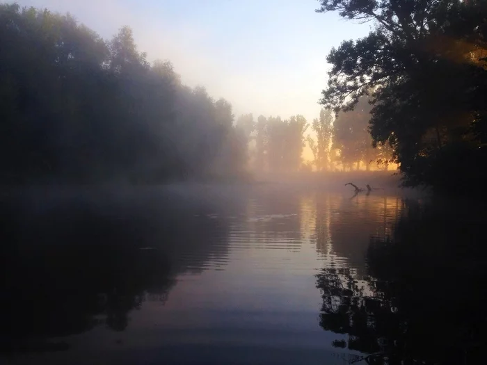 Dawn on the lake - My, Mobile photography, Photo on sneaker, Lake, beauty of nature, dawn