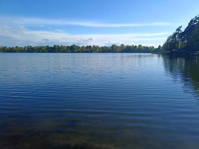 A little silence of the big city - My, Mobile photography, Saint Petersburg, Spring, beauty, beauty of nature, Silence, Ozerki, Lake, Longpost