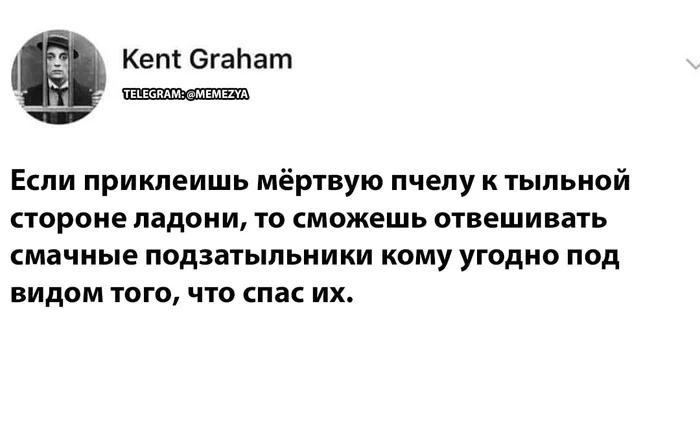 Хорошая идея - Пчелы, Подзатыльник, Twitter, Совет, Картинка с текстом