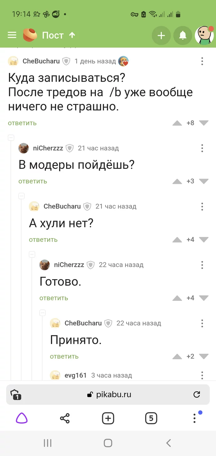 Interview - Humor, Interview, Screenshot, Mat, Comments on Peekaboo