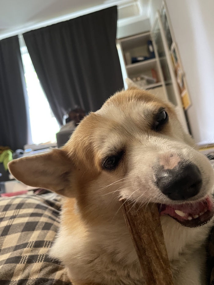 7 ��� ��������� ��� ���� ����