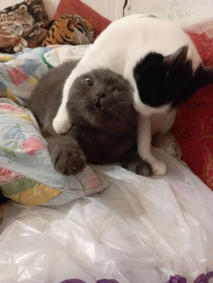   , ,   