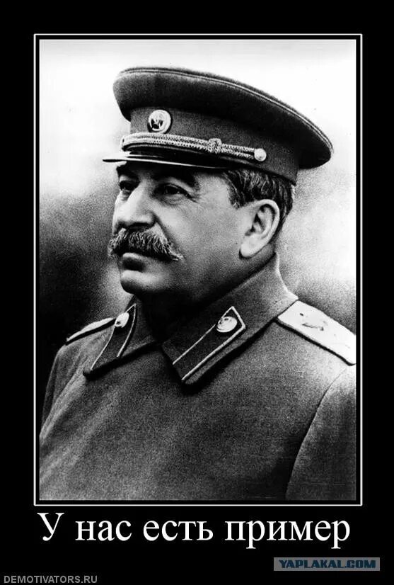 Сталин конопля на семена конопли что клюет