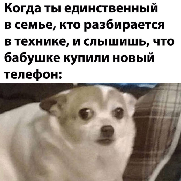 ������ �� �������