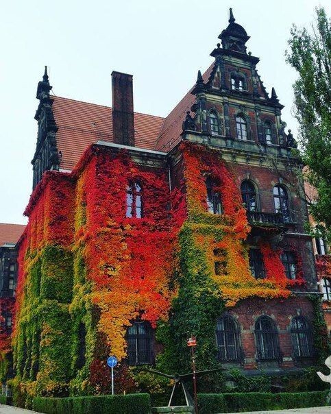 Museum of Natural History. - The photo, beauty, Poland