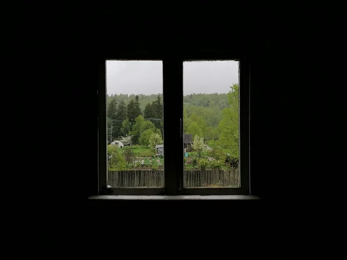 Black-green - My, Sakhalin, Forest, Hills, Dacha