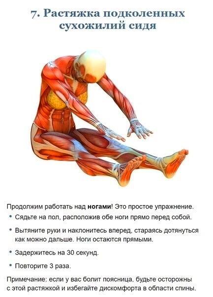 Stretching exercises, developing flexibility - Sport, Workout, Stretching, Body, Longpost