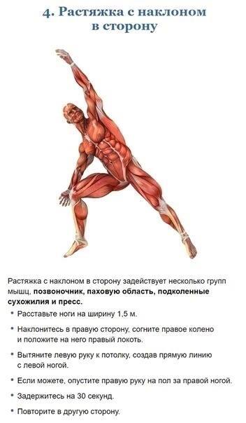 Stretching exercises, developing flexibility - Sport, Workout, Stretching, Body, Longpost