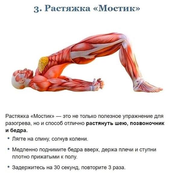 Stretching exercises, developing flexibility - Sport, Workout, Stretching, Body, Longpost