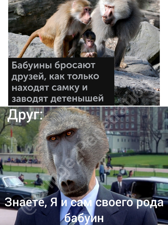 ���� ������