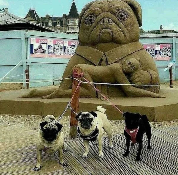 Bow to us! - Dog, Pug, Sand sculpture, The photo