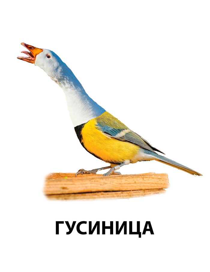     , , ,  ,  , ,   