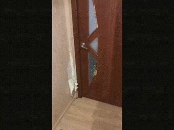      , , , 