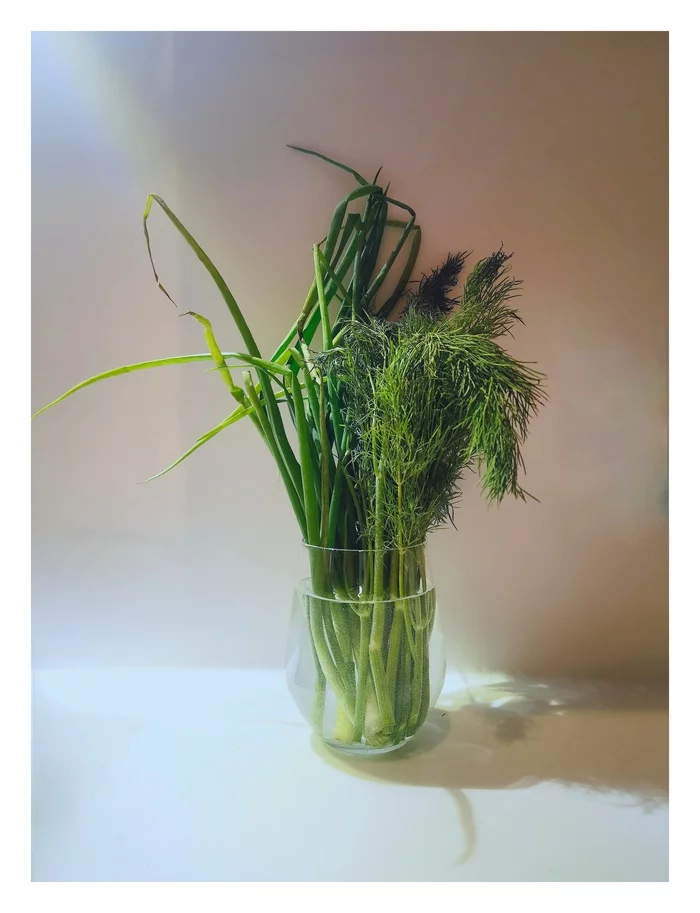 In okroshka - My, Okroshka, Onion, Dill, The photo