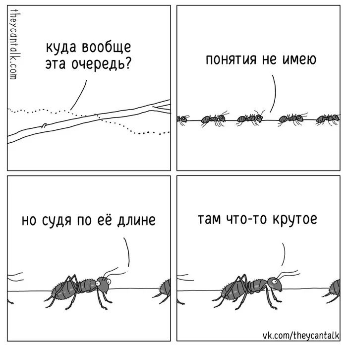 Turn - Theycantalk, Translation, Comics, Web comic, Ants, Queue