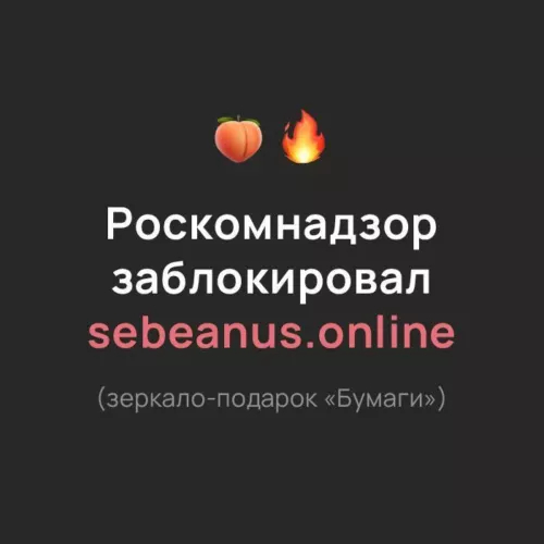 Роскомнадзор заблокировал sebeanus. online — зеркало издания «Бумага» - Роскомнадзор, Блокировка