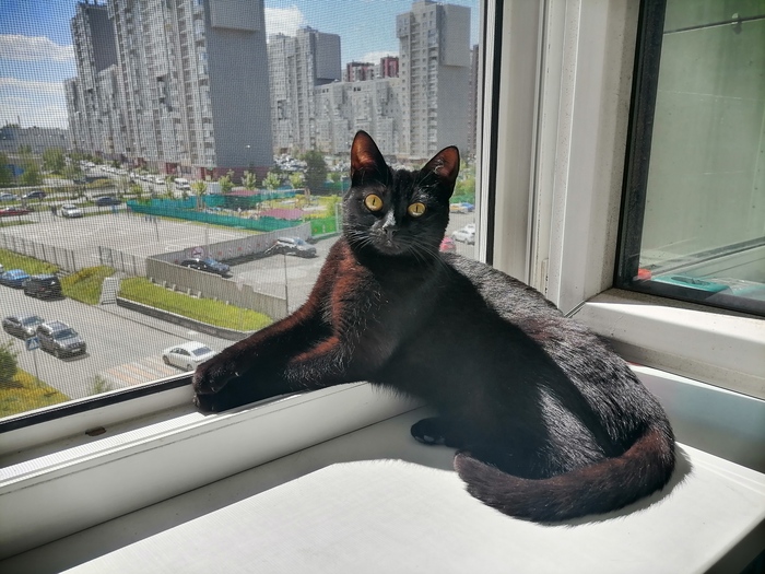 ������ � � ��� ������