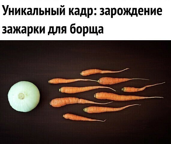 That's it - Onion, Carrot, Borsch, Demotivator, Picture with text, From the network, Repeat, Insemination