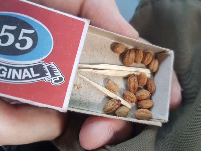 ����� � ���������