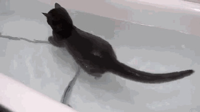      , , , 