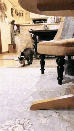      , , , 