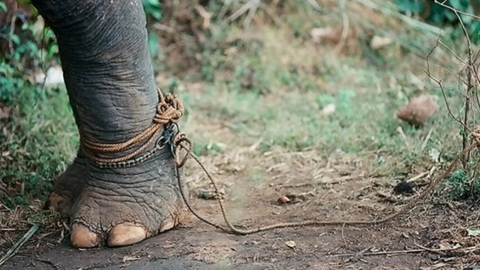 2 ��������� ������, ������� ��������� ���� ���������� �� �������� ����� � �������� ����� 15 ��� ��������