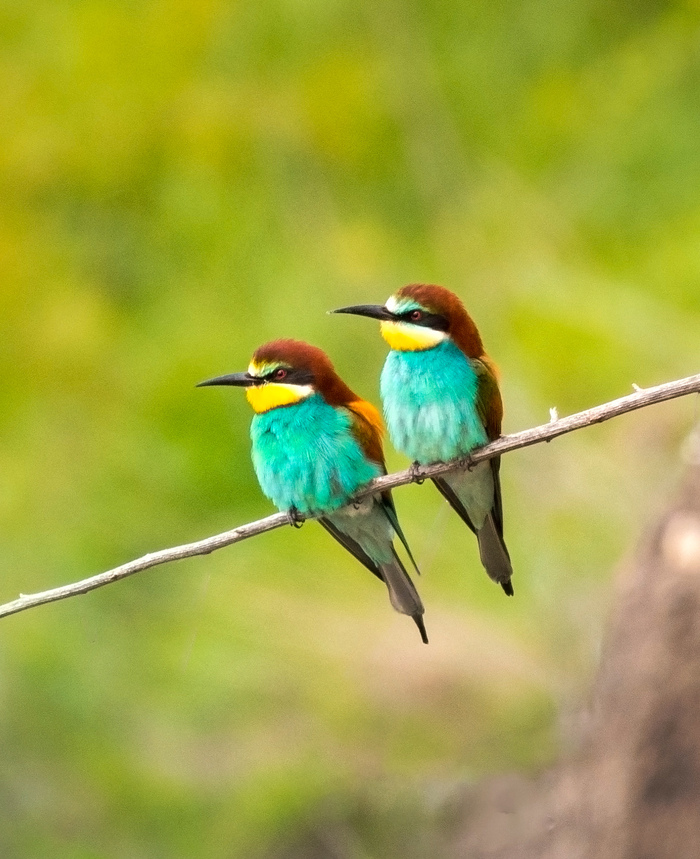 ���  � ���� ������