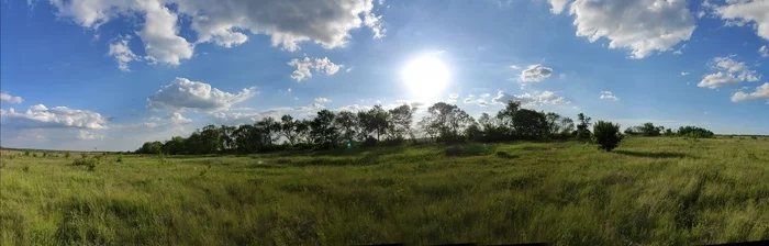 A young guy went out into the steppe of Luhansk - My, Nature, beauty of nature, Vacation, Animals, Birds, Predator birds, LPR, Donbass, The photo, Photo hunting, Hobby, Video, Longpost