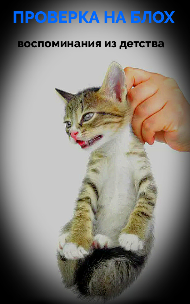 Проверка на блох