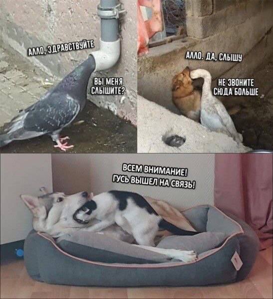 ������� ���!