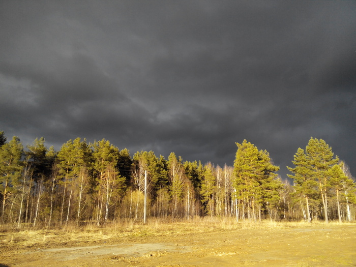 Ответ на пост «Перед грозой»